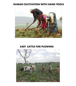 farming